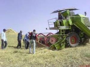 إنتاج 1000 حصّادة جديدة سنويا بسيدي بلعباس يقارب سعرها 1 مليار سنتيم للآلة