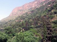 La 3e Semaine forestière méditerranéenne s'ouvre demain à Tlemcen Plusieurs pays prendront part à cette manifestation qu'abritera le parc national