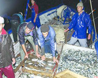 Annaba / Pêche Un secteur en recul