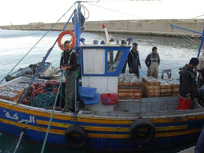 La pêche dans tous ses états face à la mollesse de l'Etat Tizi Ouzou peine à s'affirmer faute d'intérêt de la part des pouvoirs publics