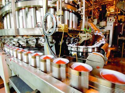 Les banques, cet écueil infranchissable Développement de la filière tomate industrielle :