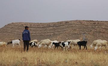 ظروف معيشية صعبة يعيشها سكان قرية بحرية ببلدية سبقاق في الأغواط إمكانات مائية وثروة حيوانية مهملة