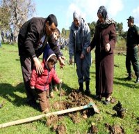 Des milliers d'arbustes mis en terre par les douaniers et les éléments de la sûreté nationale à Constantine
