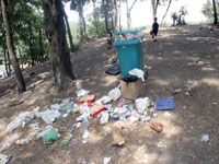 MILA La forêt de Medious transformée en dépotoir