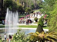 Journées mondiales de l'arbre, de l'eau et de la météo : portes ouvertes au jardin d'Essai
