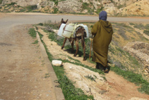 « El Shahfa et El Ghahma », deux douars laissés pour compte