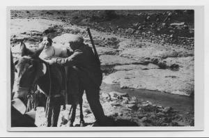 seminaire su l'aurés antique !