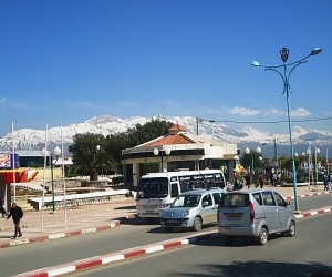 البويرة : عقار صناعي هام غير مستغل بحاجة إلى تثمين