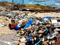 Boumerdès : le volume quotidien des déchets ménagers estimé à plus de 700 tonnes