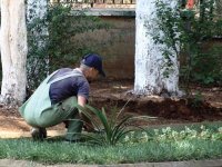 Une première expérience dans la wilaya d'Alger Formation aux techniques de jardinage