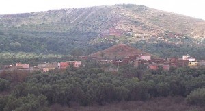 مقتل شرطي في كمين إستهدف والي المدية