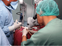 Les spécialistes réclament plus de moyens cancers et maladies de la thyroïde