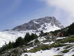 Campagne de la Radio pour l'environnement : 