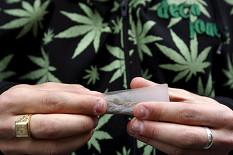 حجز 2721 نبتة أفيون و347 نبتة للقنب الهندي داخل منزلين بأدرار