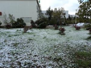 La neige au mois d'avril à Sétif