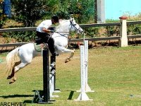 Concours d'équitation de Relizane : Laïd Reda (Blida) remporte le grand prix