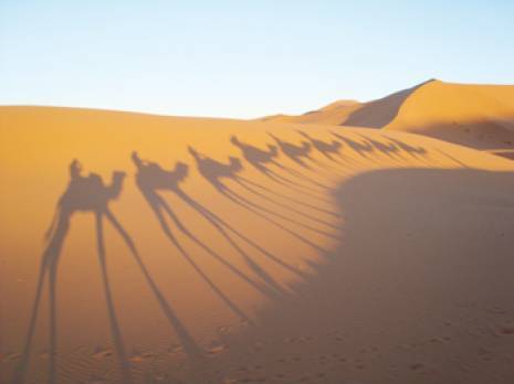 Tourisme : Bienvenue dans le Grand Sud, nouvelle région fantôme Actualité : les autres articles