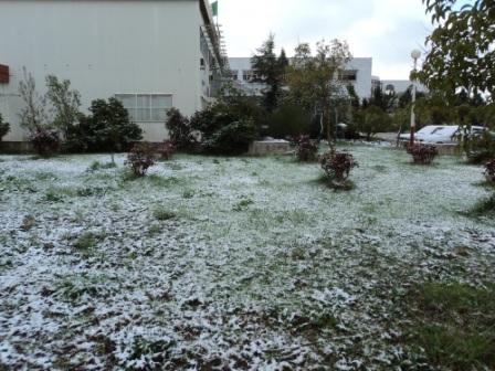 La neige au mois d'avril à Sétif