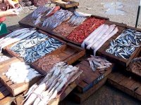 De nouvelles mesures pour organiser le marché du poisson à Sétif