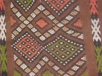 Laghouat /Patrimoine Les Tlemcéniens séduits