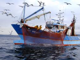 Collecte et suivi des données socio économiques et statistiques des pêches : 250 cadres centraux et locaux formés en coopération avec la FAO