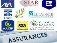 Le chiffre d'affaires des assurances en Algérie a frôlé les 100 milliards DA en 2012 (CNA)