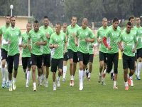 Classement FIFA : l'Algérie perd une place et se retrouve 35e