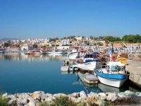 Vers la réglementation stricte du phénomène de la transhumance maritime (ministre)