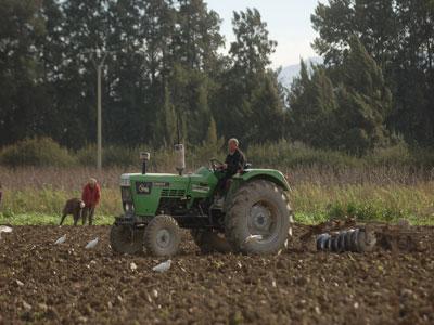3,6 milliards de dinars d'aides à l'agriculture consommées à Tizi Ouzou Selon le Direction des services agricoles