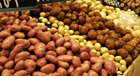 Filière pomme de terre: Installation du Conseil interprofessionnel