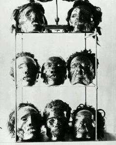 رؤوس مجاهدينا لا تزال معلقة في متحف فرنسا !!