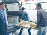 Détournements de patients et autres agissements malsains Hôpitaux : la boîte de Pandore '