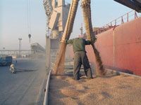 filière céréalière Consensus autour de la réduction de notre dépendance alimentaire