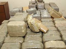 Tlemcen :Saisie de plus de 31 quintaux de kif traité