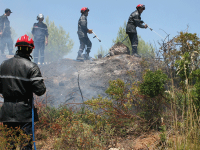 Nouvelle stratégie de la Protection civile Lutte contre les feux de forêt