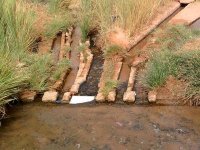 Les nouveaux mécanismes de développement de l'agriculture mis en exergue à Adrar