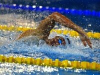 Championnat national militaire de natation : début des épreuves à Oran