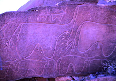 Toumi évoque la nécessité de protection de ce site