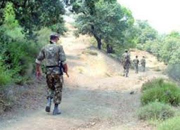 الجيش يقضي على إرهابي خطير بأغريب بتيزي وزو كثفت من قصفها لمعاقل الإرهابين