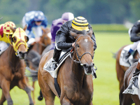 Le plein aux stalles