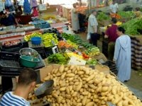 Hausse des salaires de 9% en Algérie en 2011 (ONS)