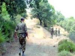 Tipasa : un terroriste abattu à Damous