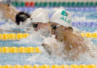 Omnisports/ Natation Coupe d'Algérie Lutte serrée entre l'USMA et le GSP