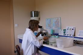 Accès et avantages de l'utilisation des ressources génétiques : Début aujourd'hui du premier atelier maghrébin à Alger