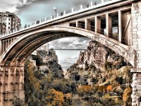 Constantine, capitale 2015 de la culture arabe : installation d'un comité exécutif du sport