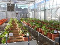 Les pays maghrébins se concertent à Alger sur l'utilisation des ressources génétiques