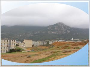 la ville des platanes............fil-fila