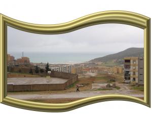 la ville des platanes......fil-fila