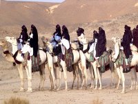 Parcs culturels : commission multisectorielle de suivi du projet du Pnud en Algérie