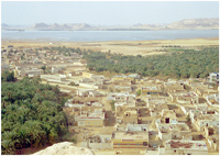 Siwis Des Amazighs au pays des pharaons